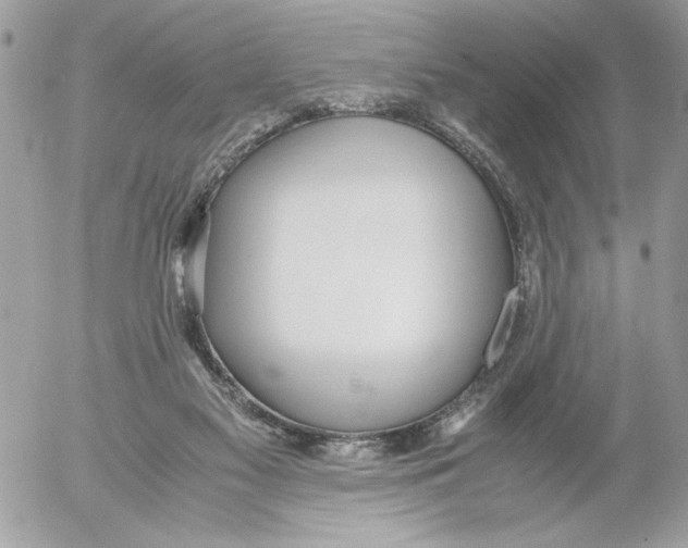 X0000052580117200507292042