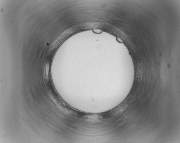 X0000052580118200507292042