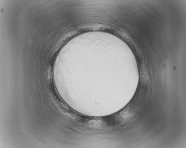 X0000052580119200507292042