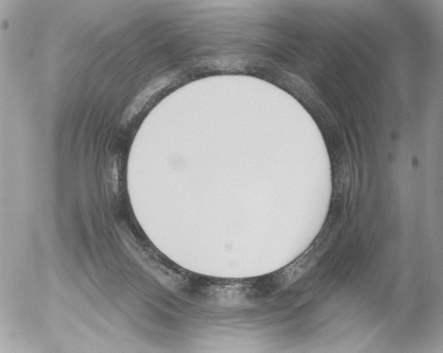 X0000052580120200507292042