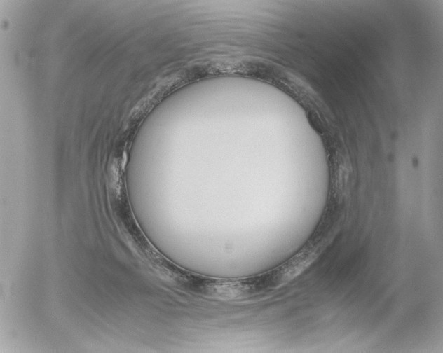 X0000052580121200507292042