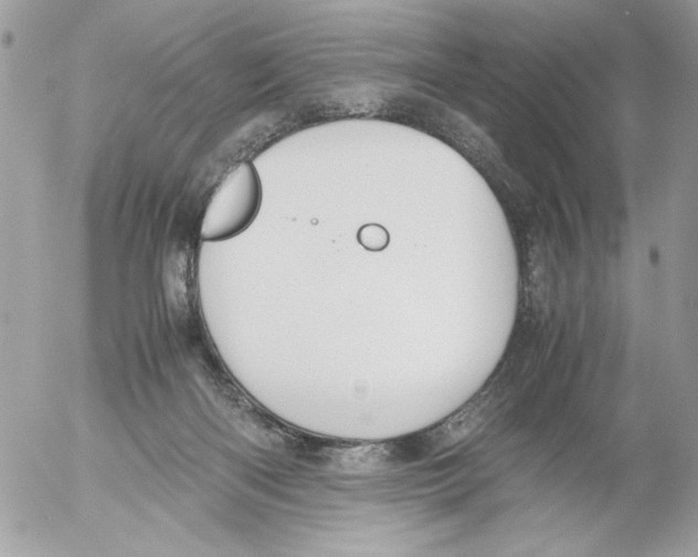 X0000052580122200507292042