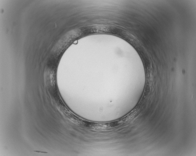 X0000052580123200507292042