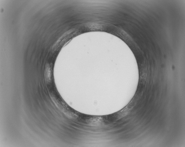 X0000052580124200507292042