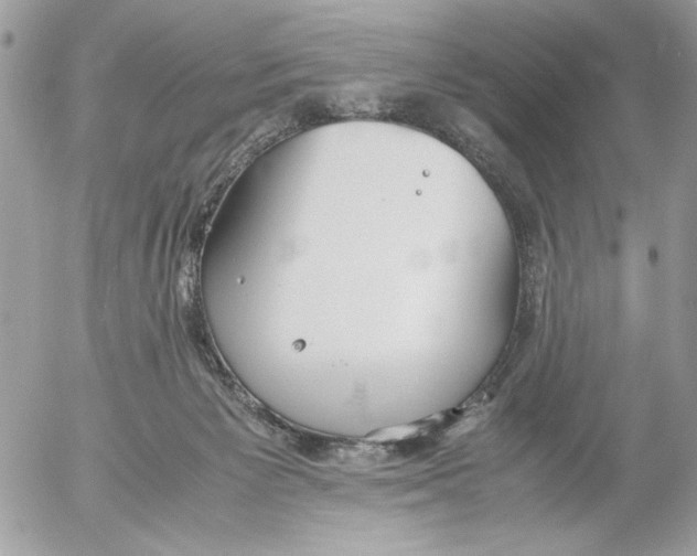 X0000052580125200507292042