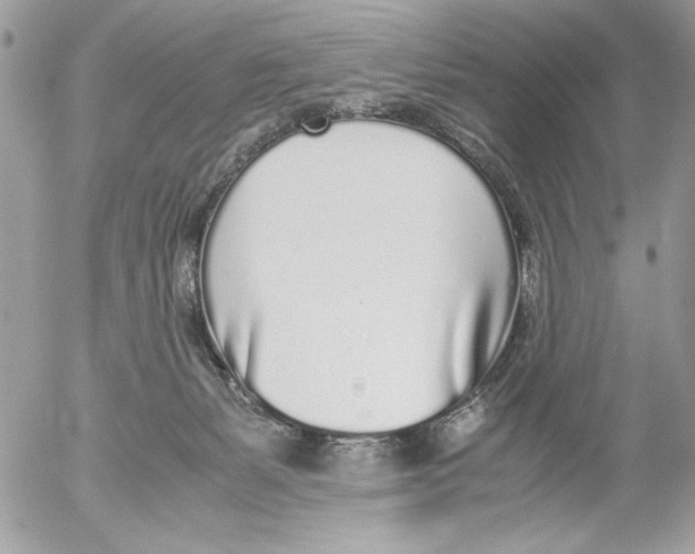 X0000052580127200507292042