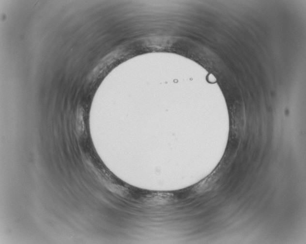 X0000052580128200507292042