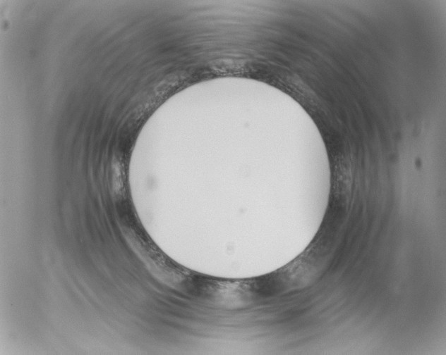 X0000052580130200507292042