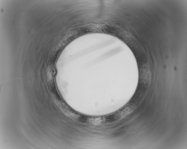 X0000052580131200507292042