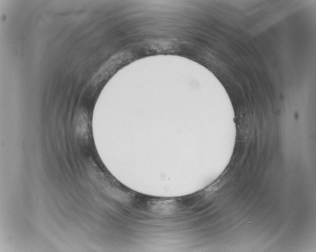 X0000052580132200507292042