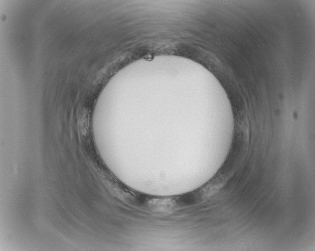 X0000052580133200507292041