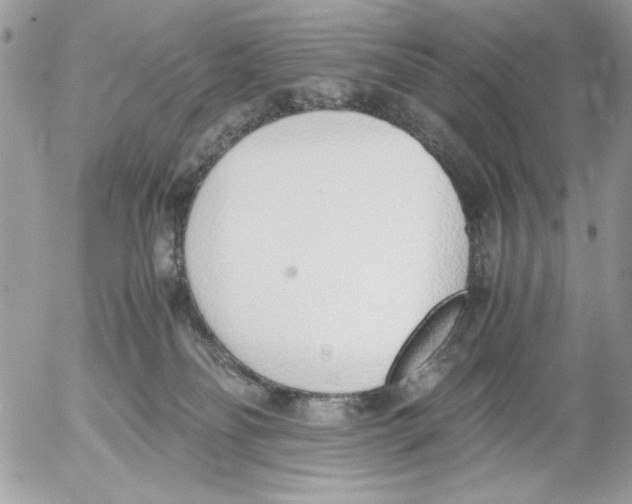 X0000052580134200507292041