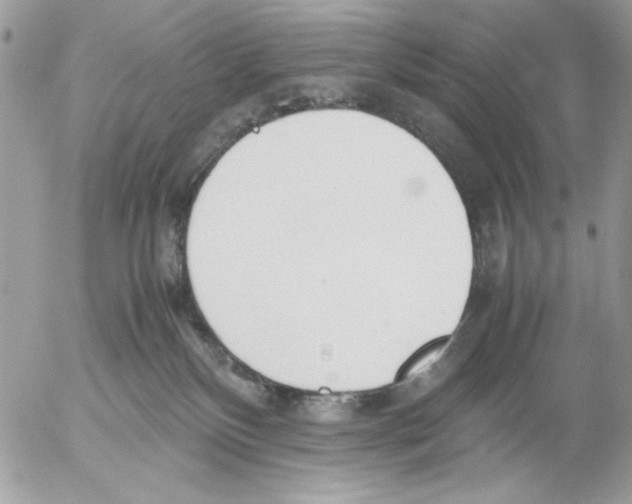 X0000052580136200507292041