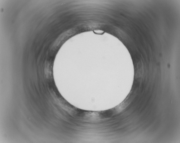 X0000052580140200507292041