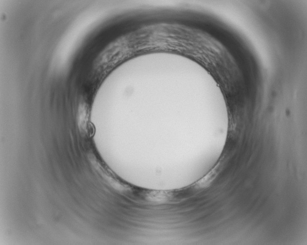 X0000052580142200507292041