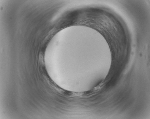 X0000052580143200507292041