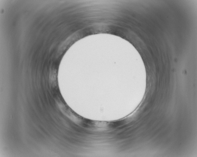 X0000052580144200507292041