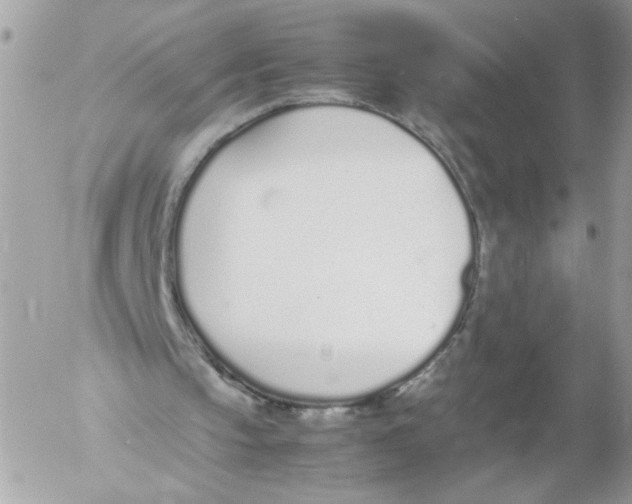 X0000052580145200507292041