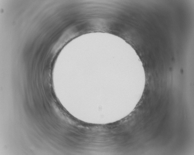 X0000052580146200507292041