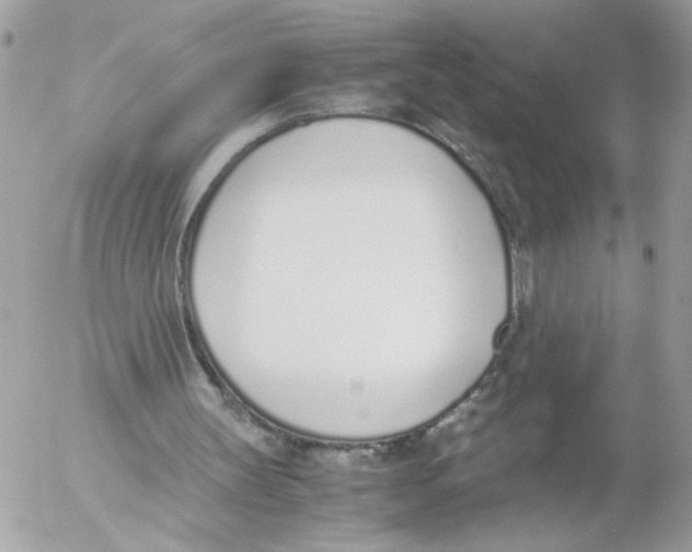 X0000052580147200507292041