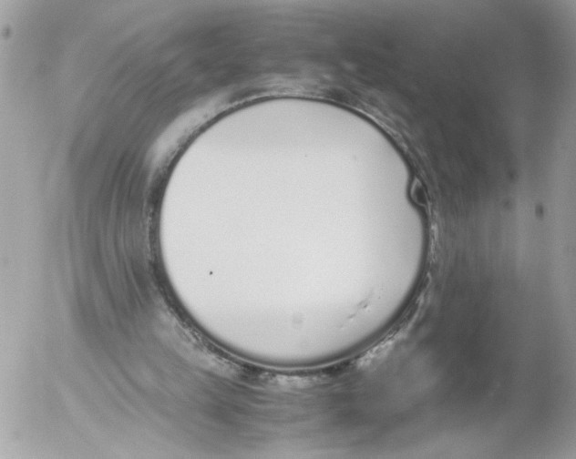 X0000052580149200507292041