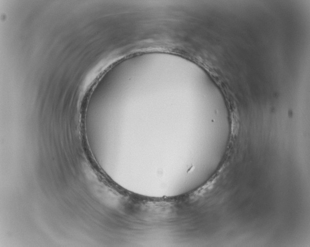 X0000052580150200507292041