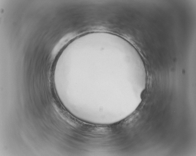 X0000052580151200507292041