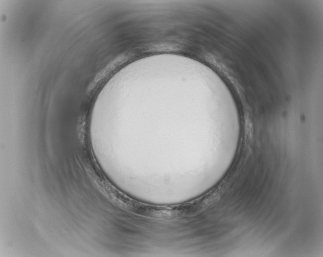 X0000052580153200507292041