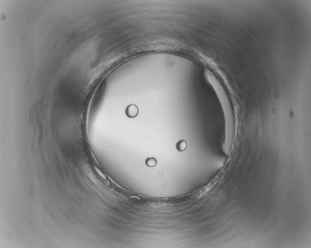 X0000052580154200507292041