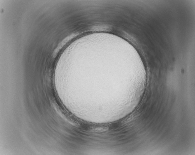 X0000052580155200507292041