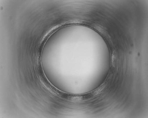 X0000052580156200507292041