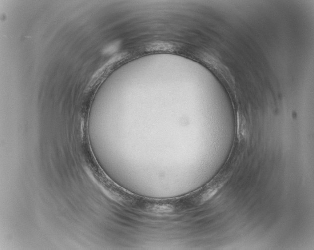 X0000052580157200507292041