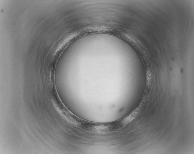 X0000052580158200507292041