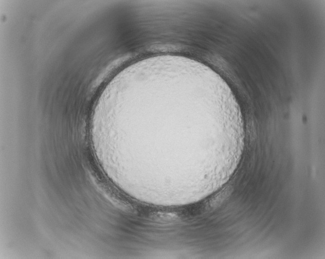 X0000052580159200507292041