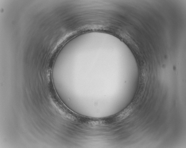 X0000052580160200507292041