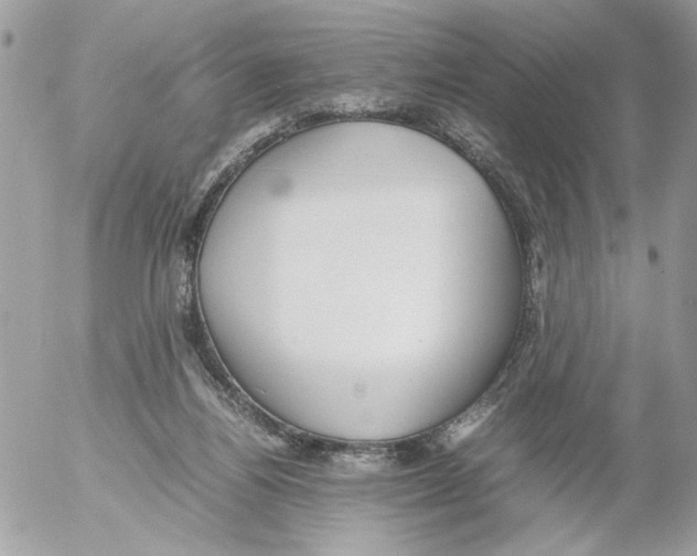 X0000052580164200507292041