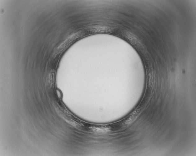 X0000052580165200507292041