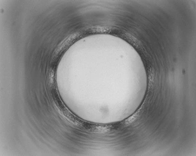 X0000052580166200507292041