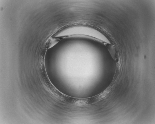 X0000052580168200507292041