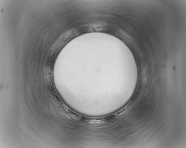 X0000052580169200507292041