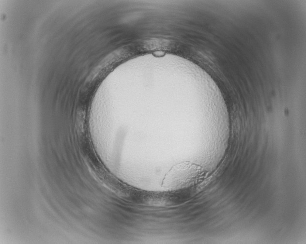 X0000052580171200507292041