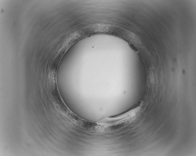 X0000052580172200507292041