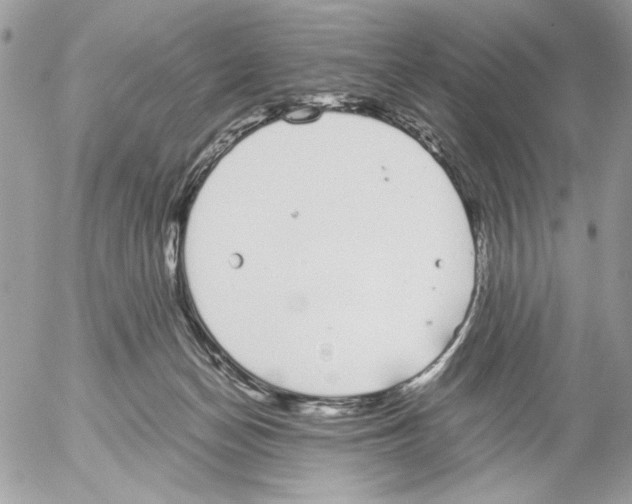 X0000052580174200507292041