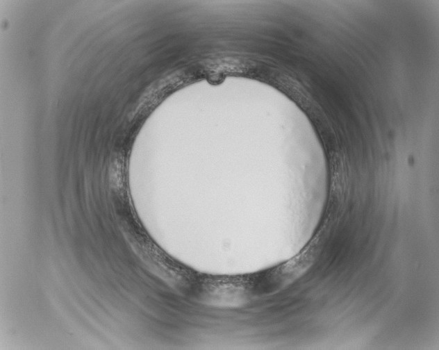 X0000052580175200507292041