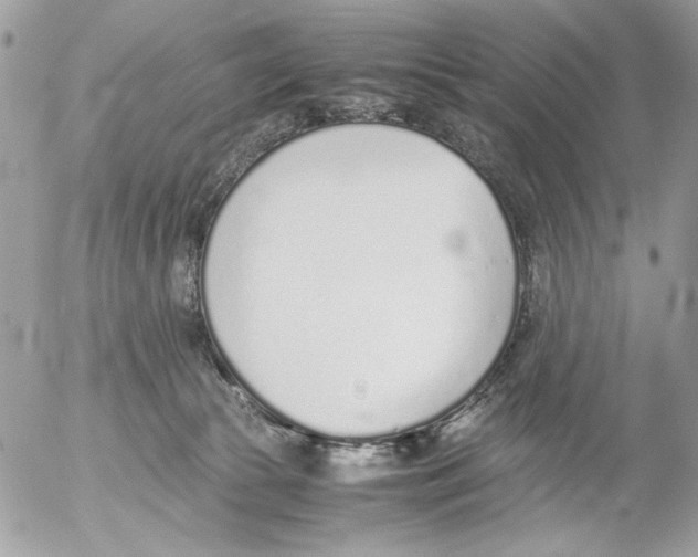 X0000052580177200507292041