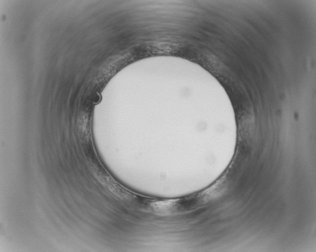 X0000052580178200507292041