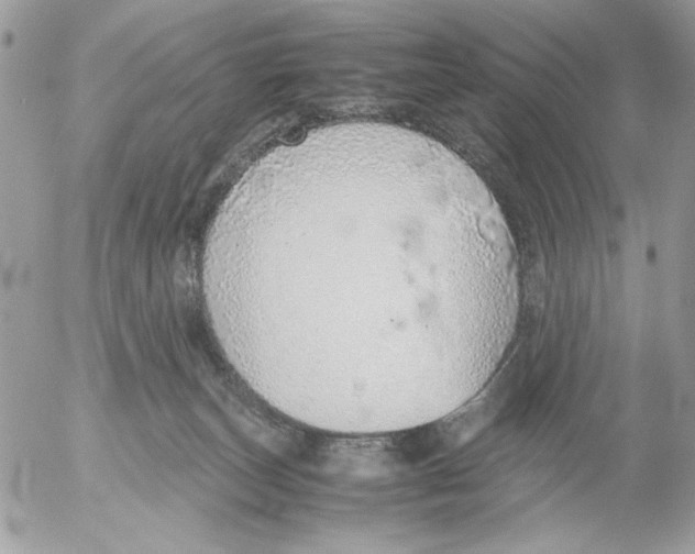 X0000052580179200507292041