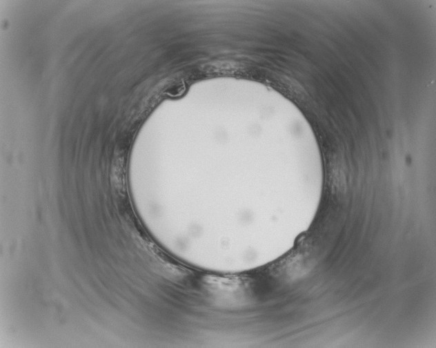 X0000052580181200507292041