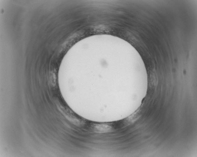 X0000052580183200507292041