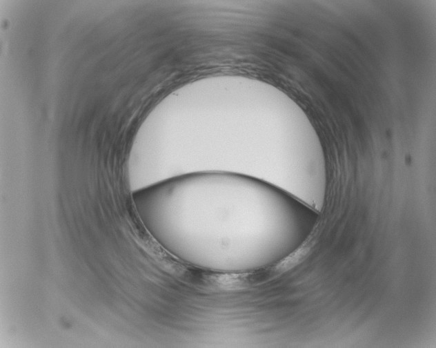 X0000052580184200507292041